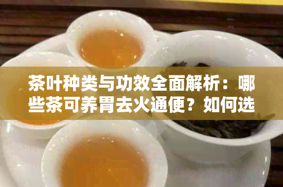 茶叶种类与功效全面解析：哪些茶可养胃去火通便？如何选择最适合您的茶叶？