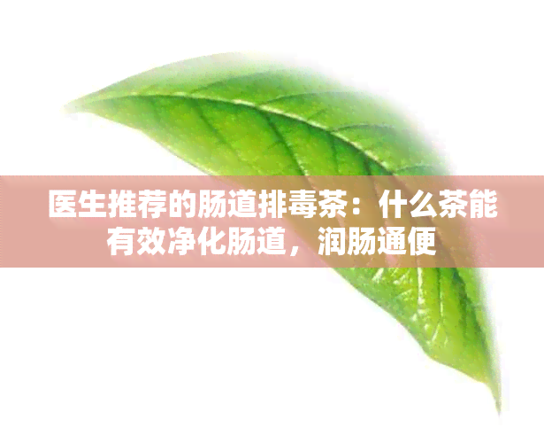 医生推荐的肠道排茶：什么茶能有效净化肠道，润肠通便