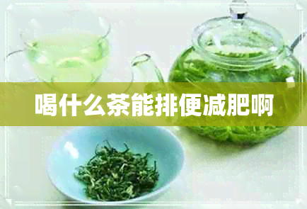 喝什么茶能排便减肥啊