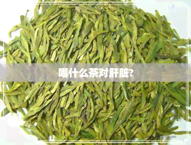 喝什么茶对肝脏?