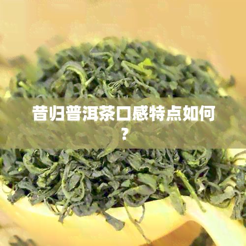 昔归普洱茶口感特点如何？