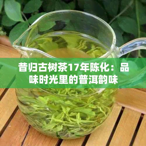 昔归古树茶17年陈化：品味时光里的普洱韵味