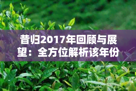 昔归2017年回顾与展望：全方位解析该年份的重要和发展趋势