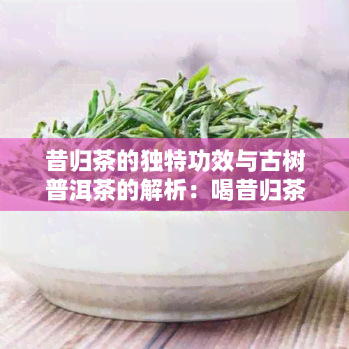 昔归茶的独特功效与古树普洱茶的解析：喝昔归茶的好处有哪些？