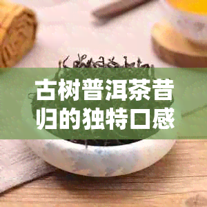 古树普洱茶昔归的独特口感：微苦涩中释放醇厚甜润，一种难以忘怀的品鉴体验