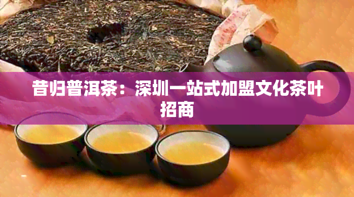 昔归普洱茶：深圳一站式加盟文化茶叶招商