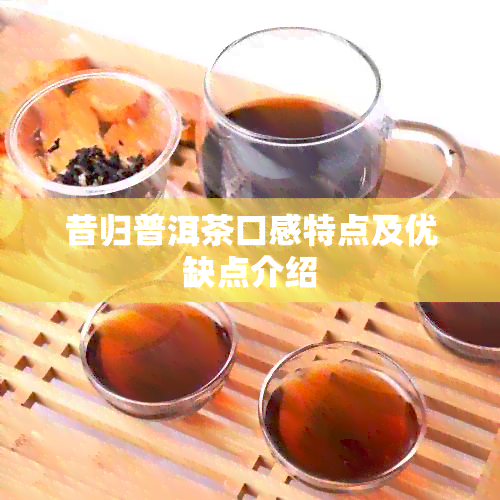 昔归普洱茶口感特点及优缺点介绍