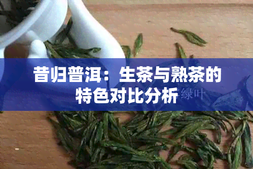 昔归普洱：生茶与熟茶的特色对比分析