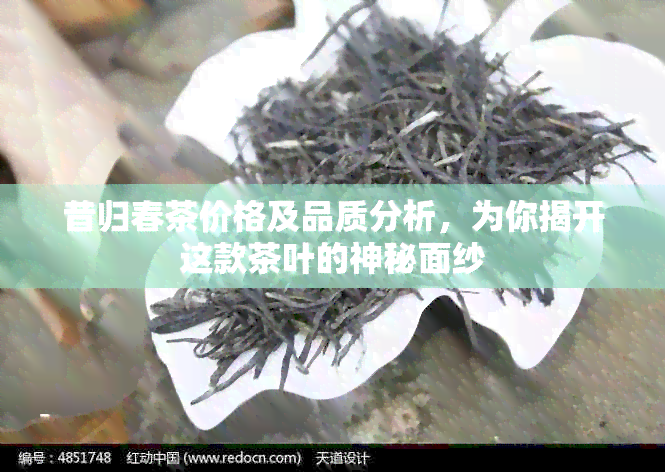 昔归春茶价格及品质分析，为你揭开这款茶叶的神秘面纱