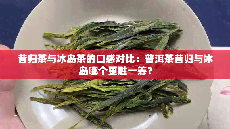 昔归茶与冰岛茶的口感对比：普洱茶昔归与冰岛哪个更胜一筹？