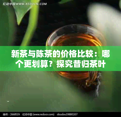 新茶与陈茶的价格比较：哪个更划算？探究昔归茶叶的品质与价值