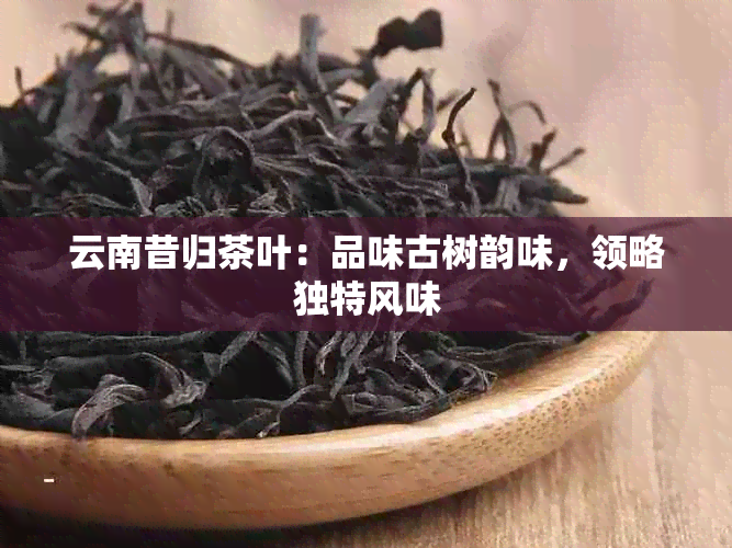 云南昔归茶叶：品味古树韵味，领略独特风味