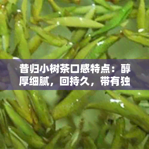 昔归小树茶口感特点：醇厚细腻，回持久，带有独特的花香和果香。