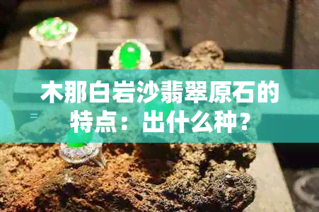 木那白岩沙翡翠原石的特点：出什么种？