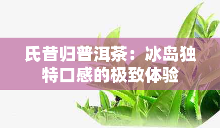 氏昔归普洱茶：冰岛独特口感的极致体验