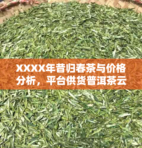 XXXX年昔归春茶与价格分析，平台供货普洱茶云南茶叶批发