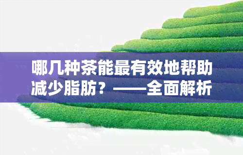 哪几种茶能最有效地帮助减少脂肪？——全面解析茶叶对减肥的作用与选择方法