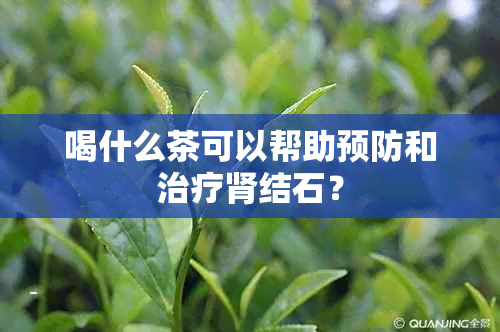 喝什么茶可以帮助预防和治疗肾结石？