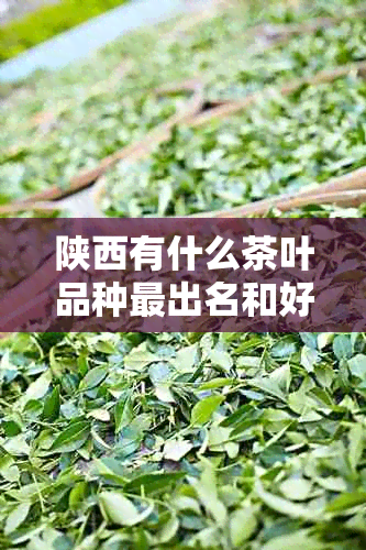 陕西有什么茶叶品种最出名和好的推荐