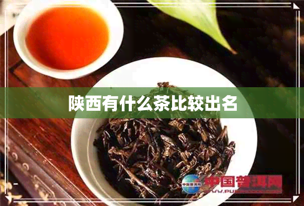 陕西有什么茶比较出名