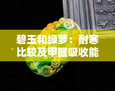 碧玉和绿萝：耐寒比较及甲醛吸收能力