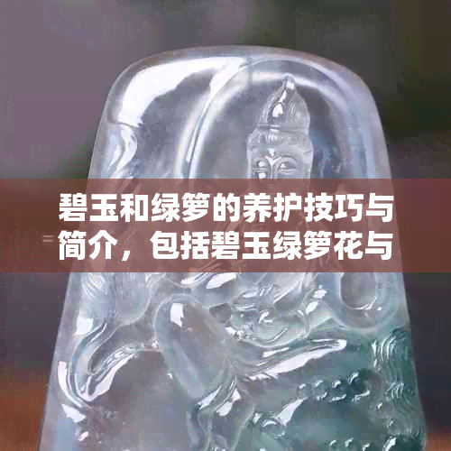 碧玉和绿箩的养护技巧与简介，包括碧玉绿箩花与如何使其更好养