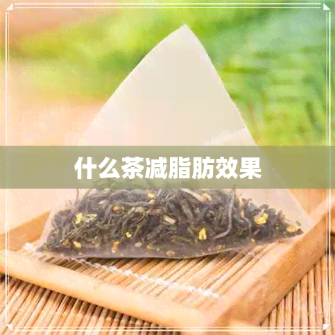 什么茶减脂肪效果