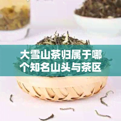 大雪山茶归属于哪个知名山头与茶区？