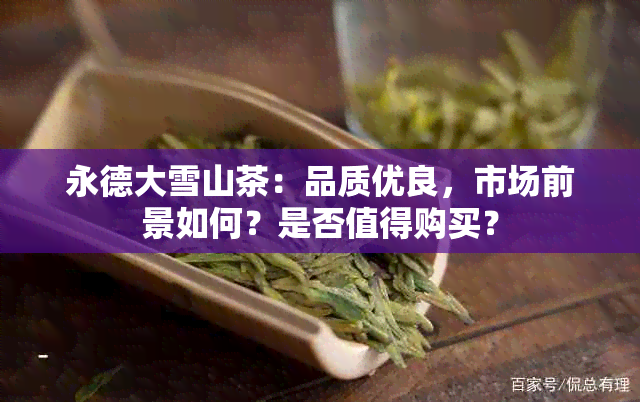 永德大雪山茶：品质优良，市场前景如何？是否值得购买？