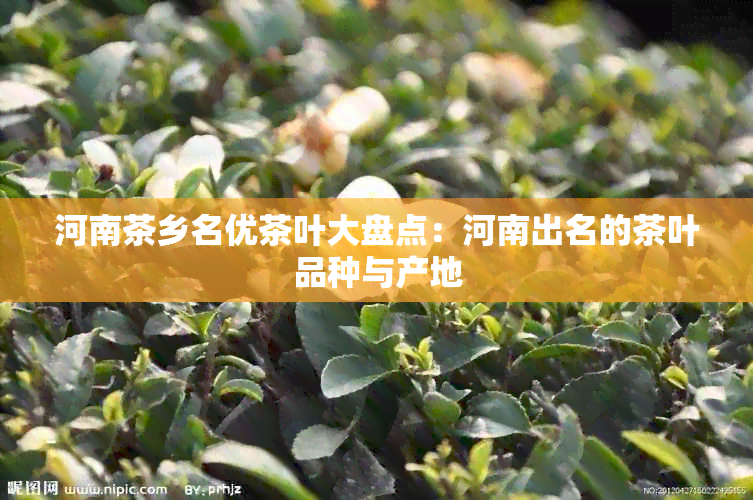 河南茶乡名优茶叶大盘点：河南出名的茶叶品种与产地