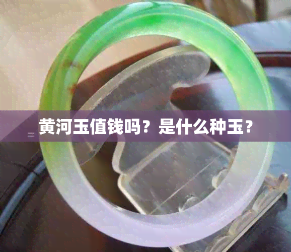 黄河玉值钱吗？是什么种玉？