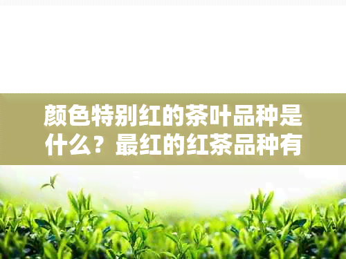 颜色特别红的茶叶品种是什么？最红的红茶品种有哪些？