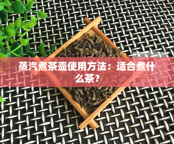 蒸汽煮茶壶使用方法：适合煮什么茶？