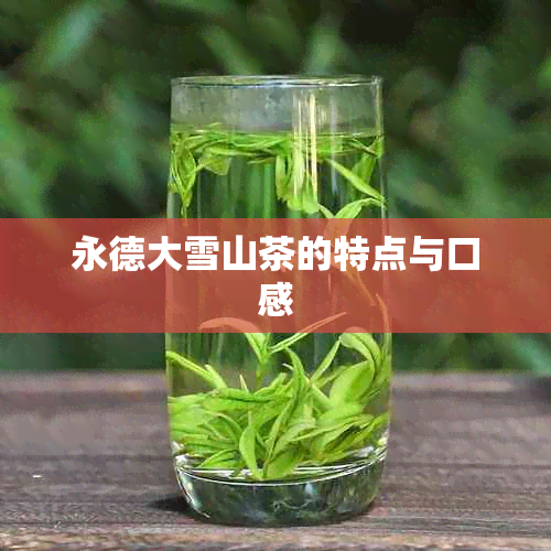 永德大雪山茶的特点与口感