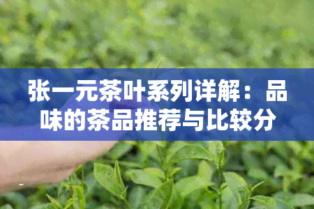 张一元茶叶系列详解：品味的茶品推荐与比较分析