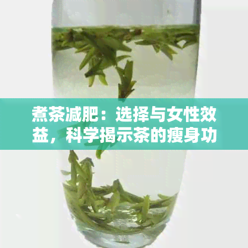 煮茶减肥：选择与女性效益，科学揭示茶的瘦身功效