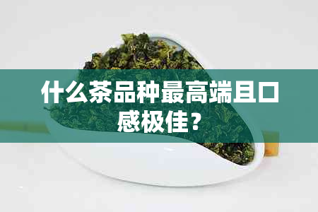 什么茶品种更高端且口感极佳？