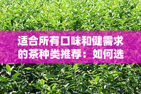 适合所有口味和健需求的茶种类推荐：如何选择最适合自己喝的茶