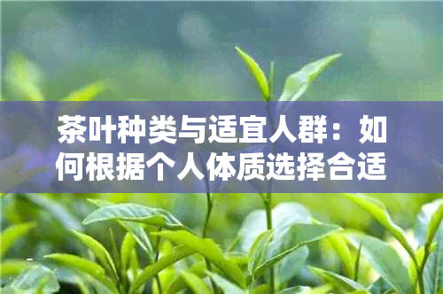 茶叶种类与适宜人群：如何根据个人体质选择合适的茶？