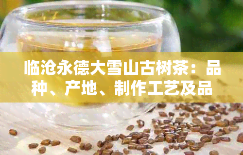 临沧永德大雪山古树茶：品种、产地、制作工艺及品鉴方法的全面解析