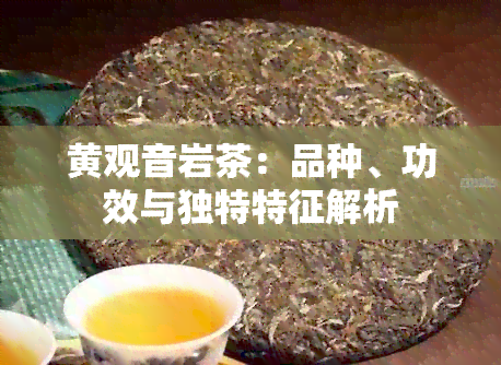 黄观音岩茶：品种、功效与独特特征解析