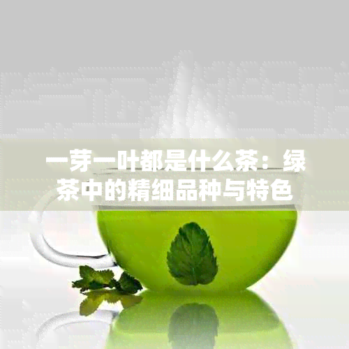 一芽一叶都是什么茶：绿茶中的精细品种与特色