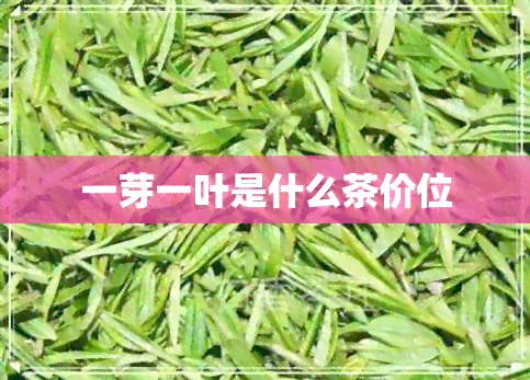 一芽一叶是什么茶价位