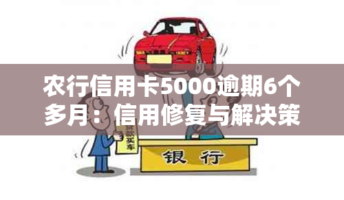 农行信用卡5000逾期6个多月：信用修复与解决策略