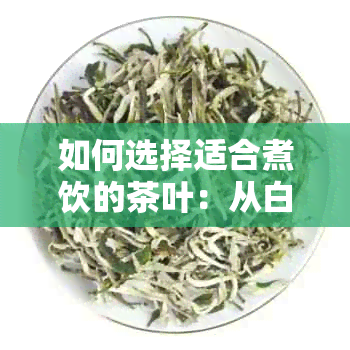 如何选择适合煮饮的茶叶：从白茶、黑茶到乌龙茶，哪种茶更好喝？