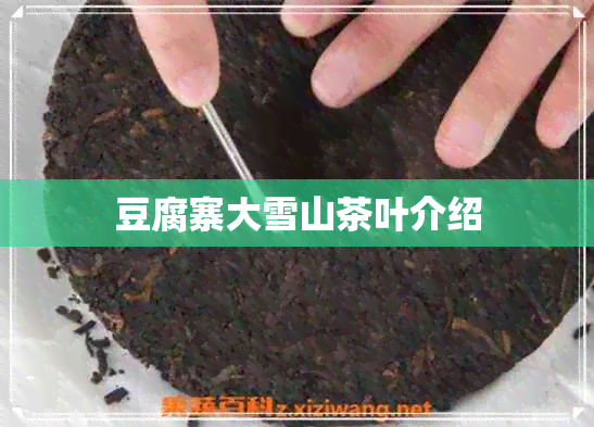 豆腐寨大雪山茶叶介绍