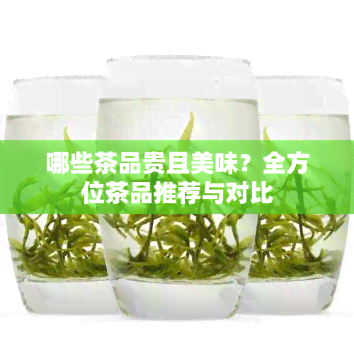 哪些茶品贵且美味？全方位茶品推荐与对比