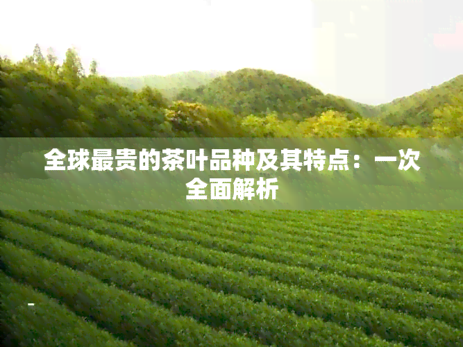 全球最贵的茶叶品种及其特点：一次全面解析