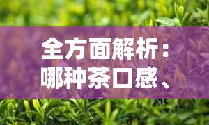 全方面解析：哪种茶口感、价格最实且令人回味无穷？