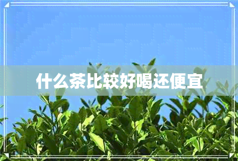 什么茶比较好喝还便宜